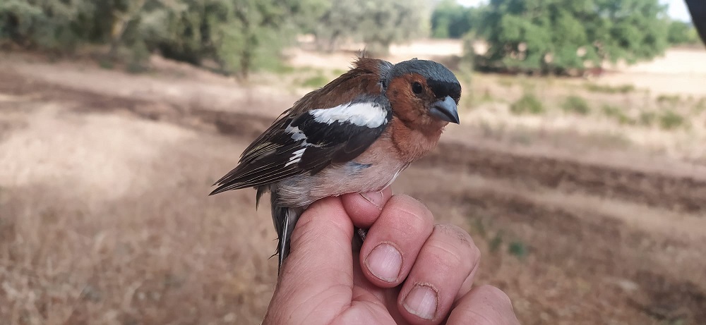 WhatsApp Image 2022-06-21 at 11.50.02 AM.jpeg