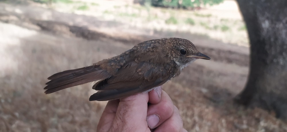 WhatsApp Image 2022-06-21 at 11.50.03 AM.jpeg