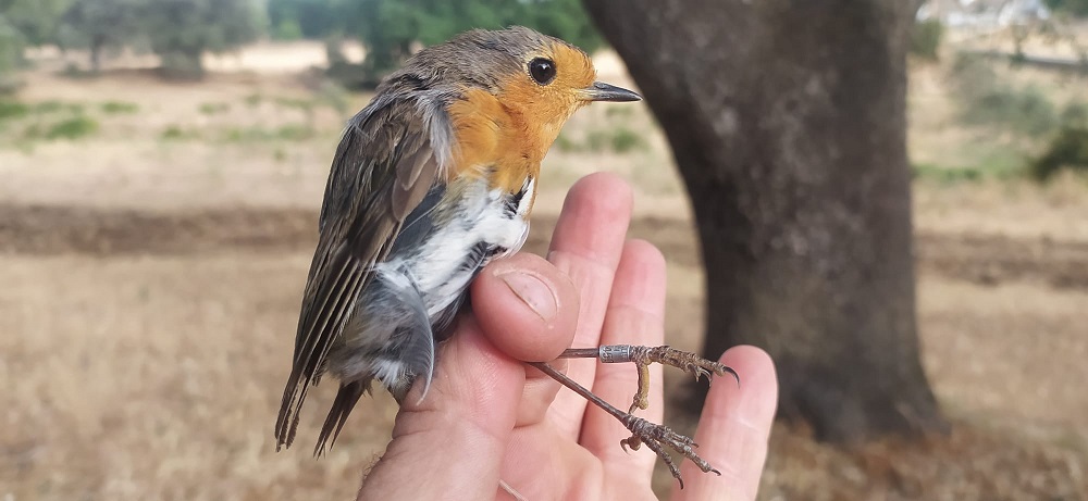 WhatsApp Image 2022-06-21 at 11.50.05 AM.jpeg