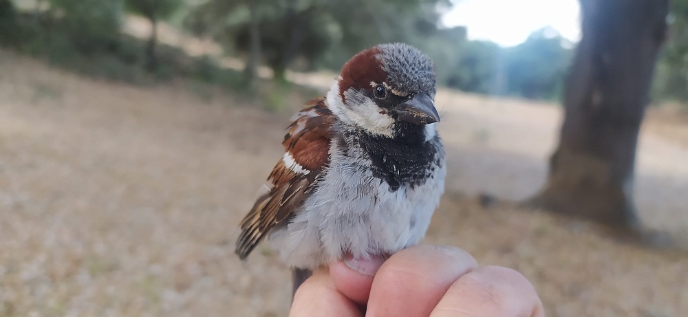 WhatsApp Image 2022-06-21 at 11.50.55 AM.jpeg