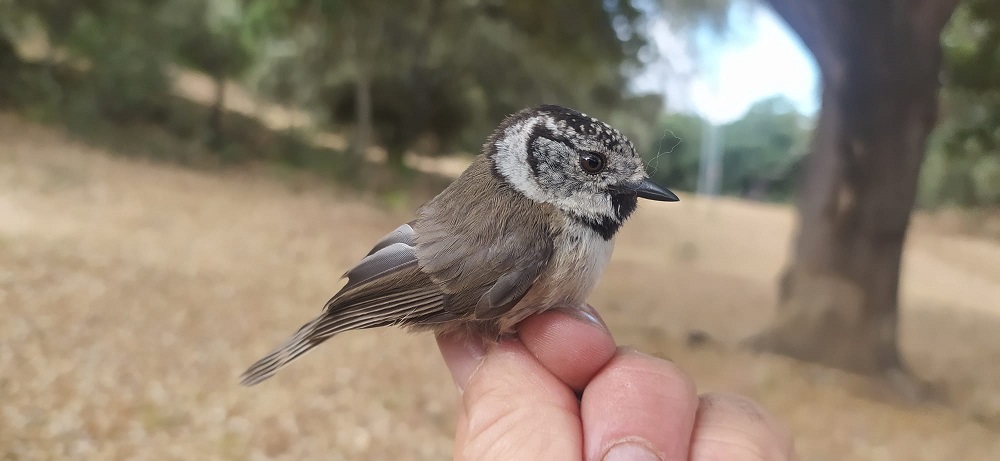 WhatsApp Image 2022-06-21 at 11.50.58 AM.jpeg