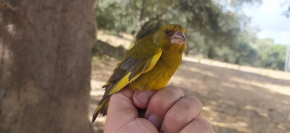 WhatsApp Image 2022-06-21 at 11.51.00 AM.jpeg