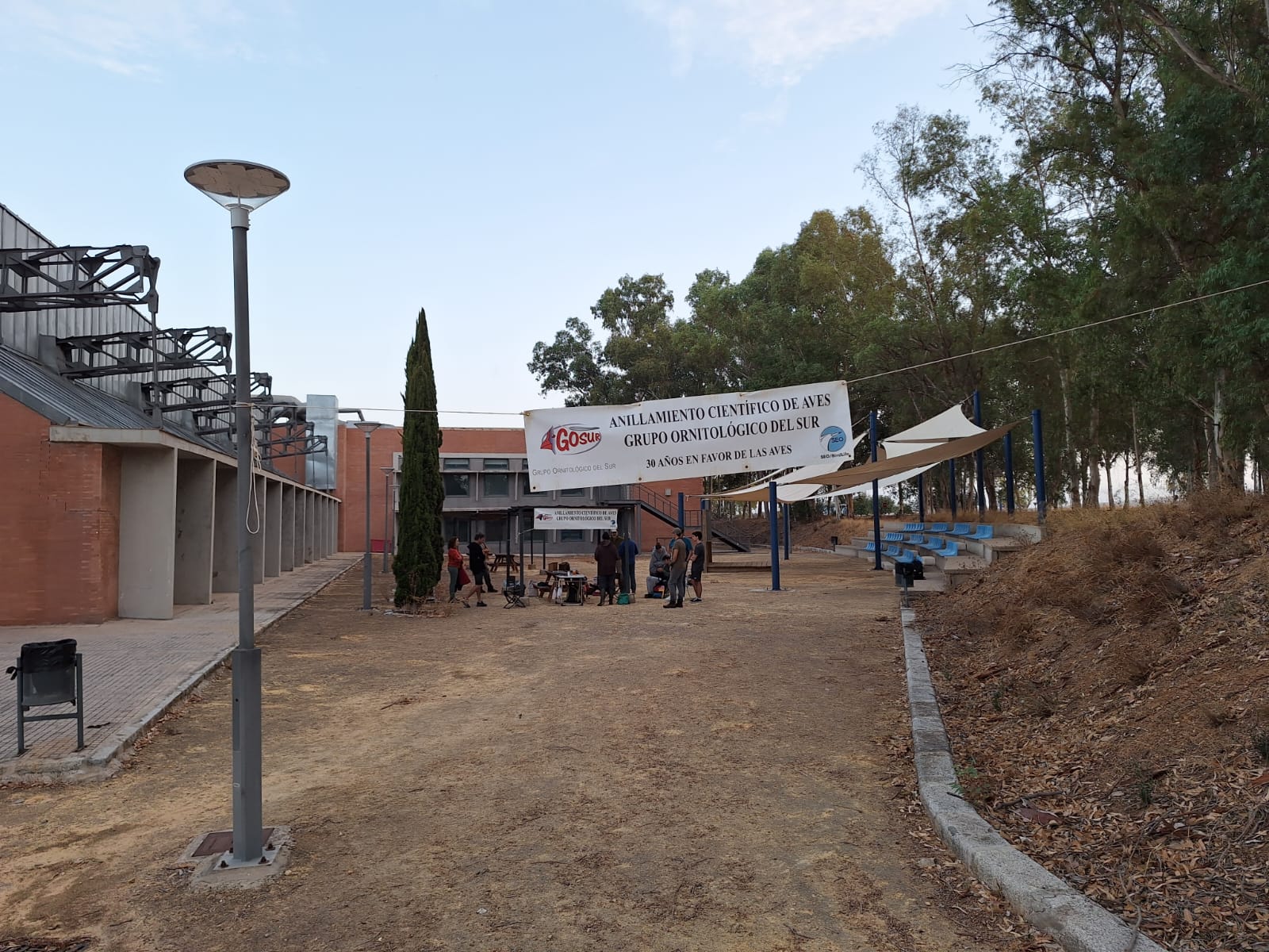 Imagen de WhatsApp 2024-10-06 a las 08.32.34_3b7cbeef.jpg