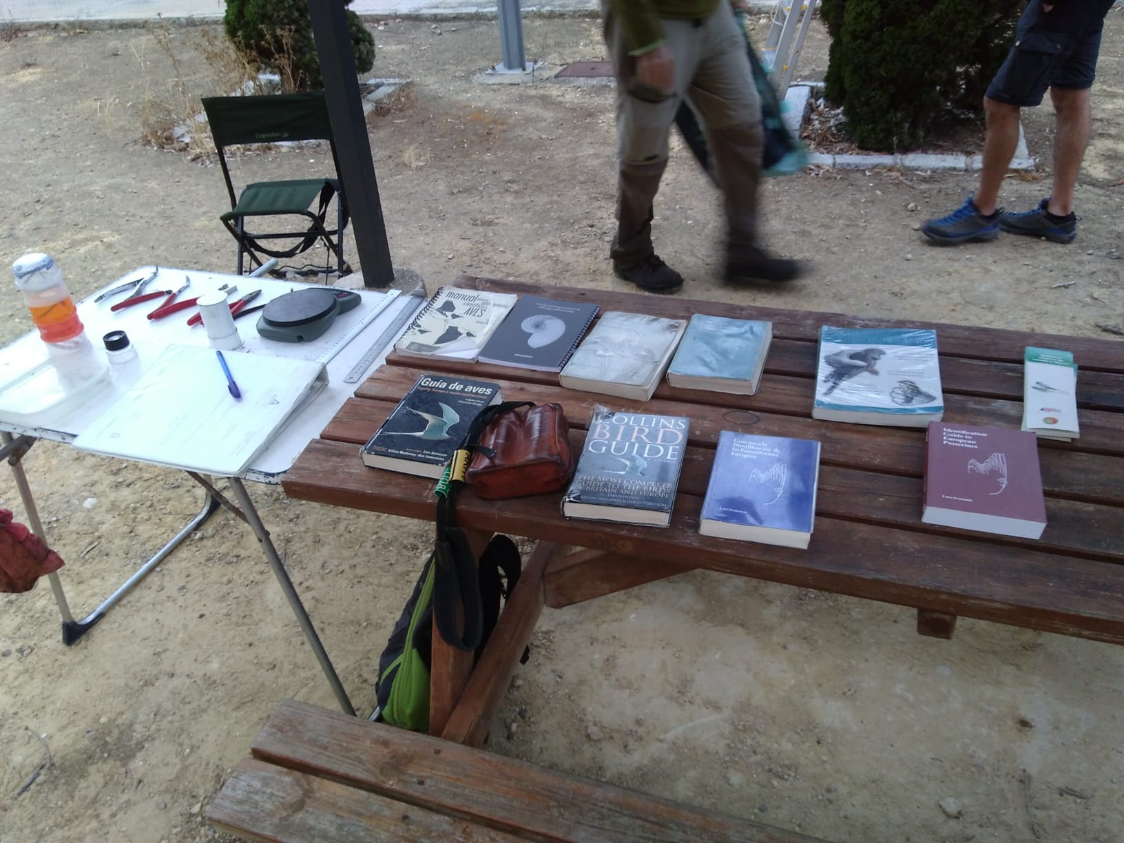 Imagen de WhatsApp 2024-10-06 a las 19.18.11_2f9a78c2.jpg